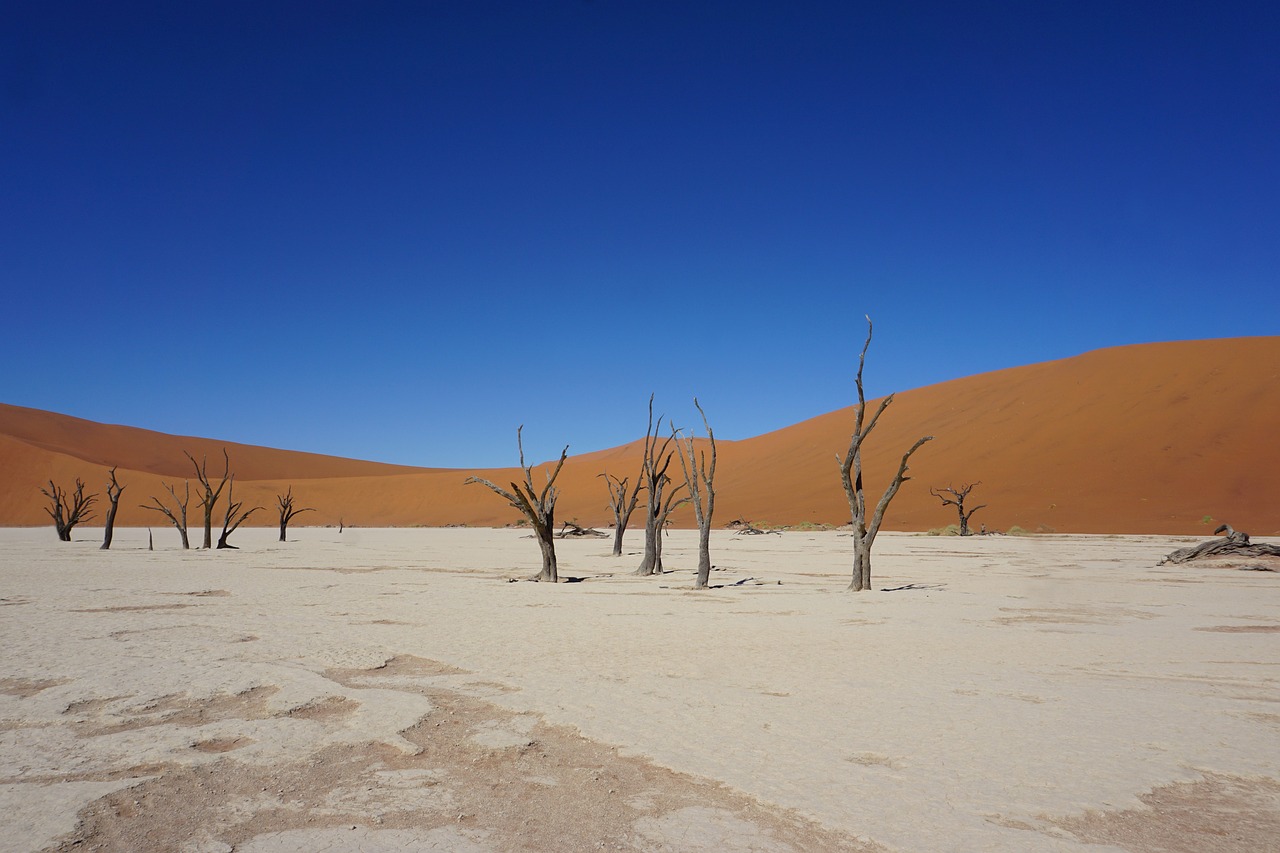 View of Sossusvlei