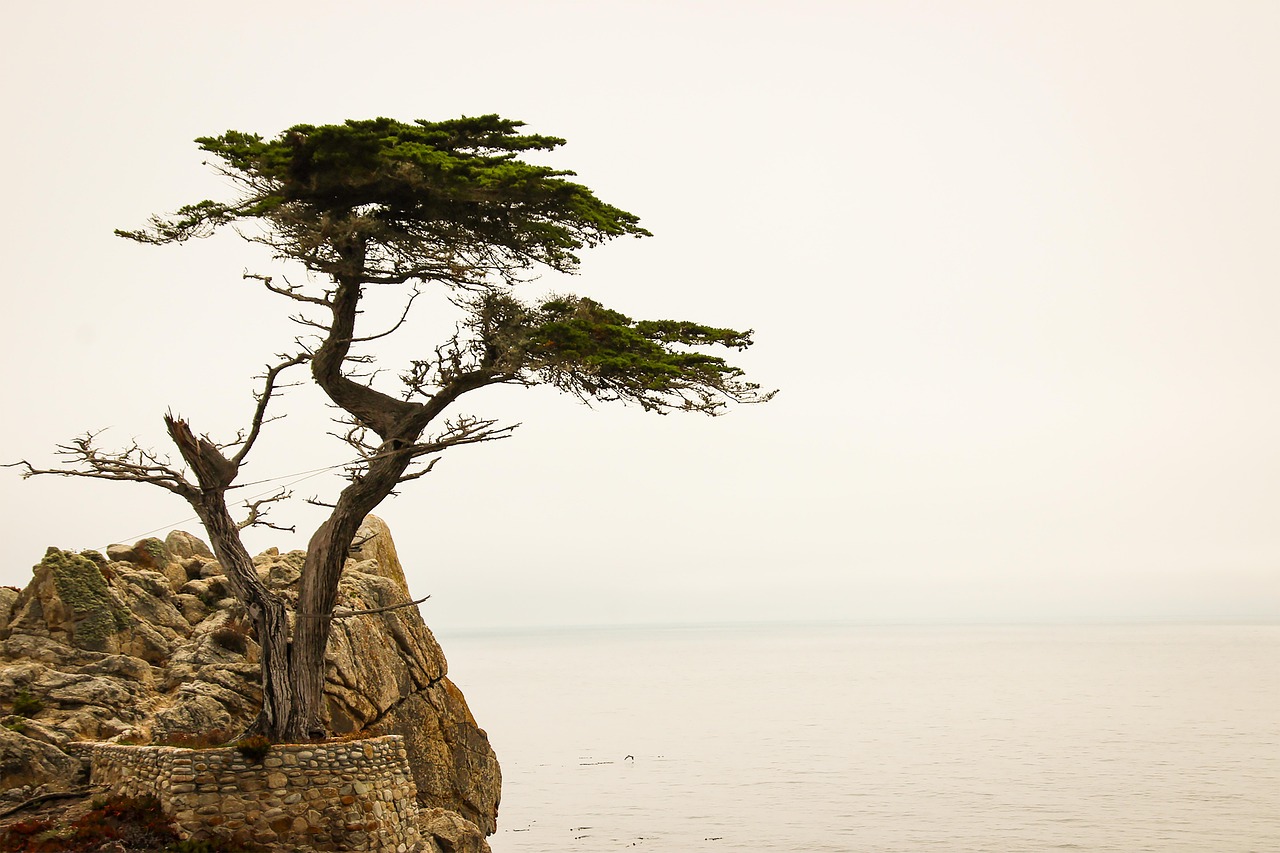 View of Carmel-by-the-Sea