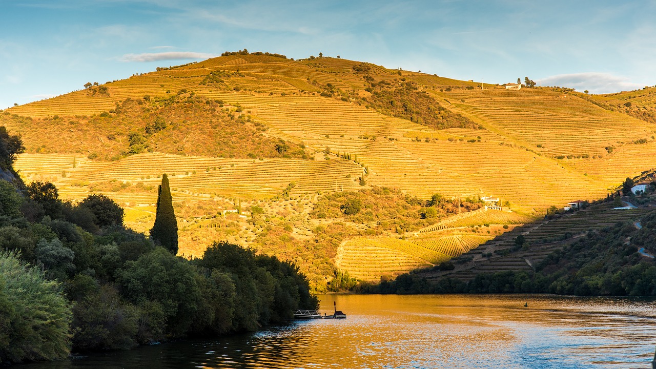 View of Douro Valley