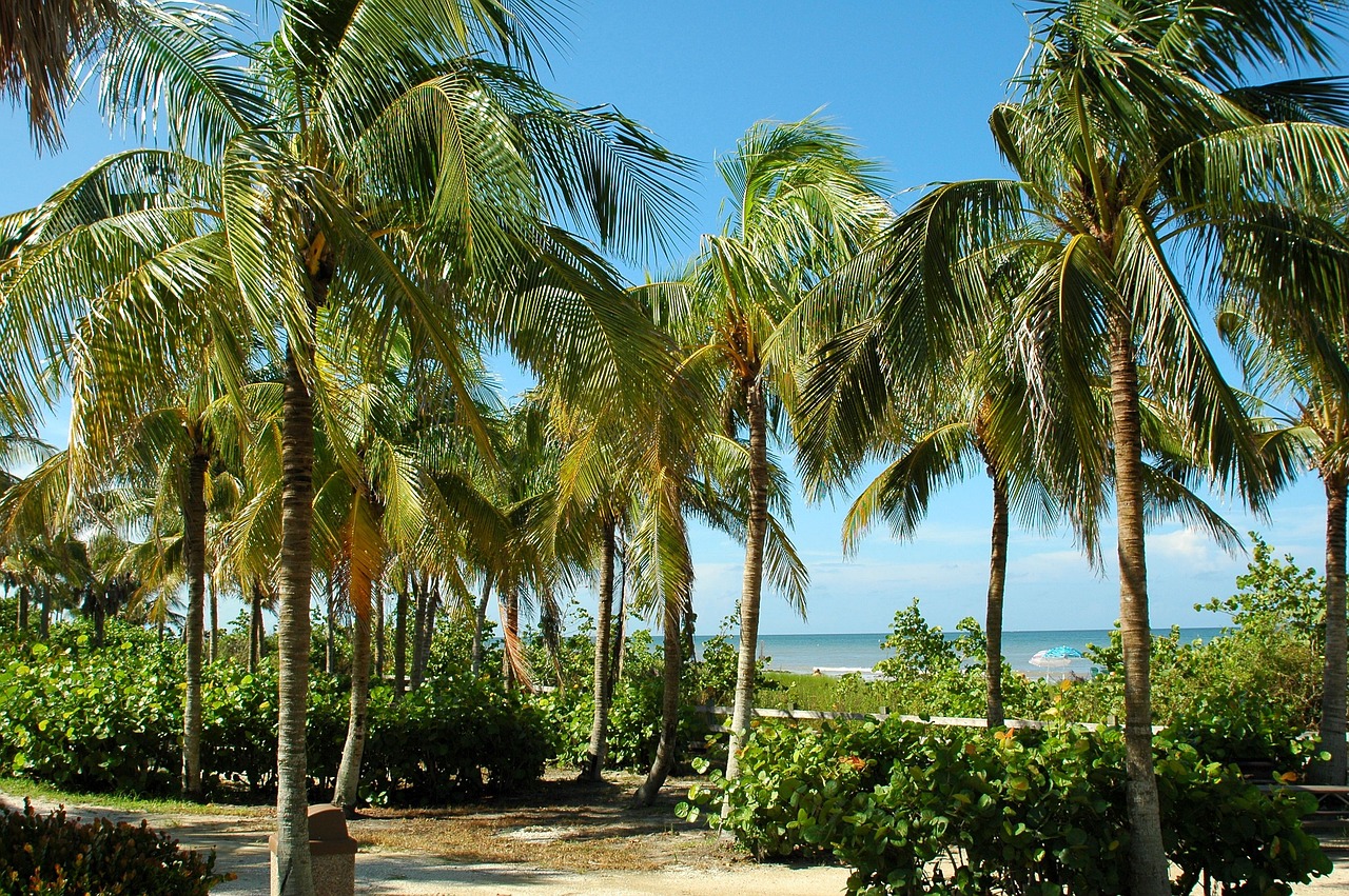 View of Key West