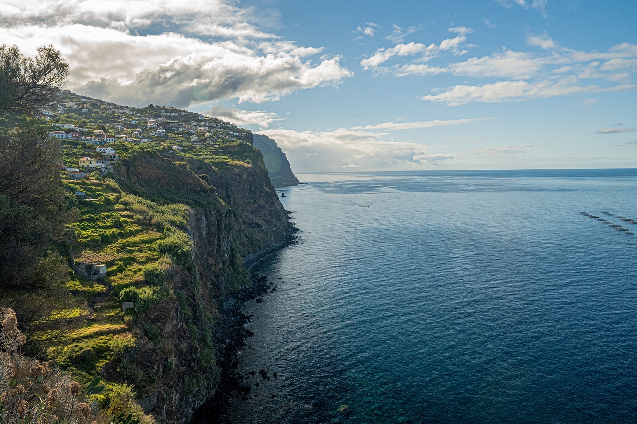 View of Madeira