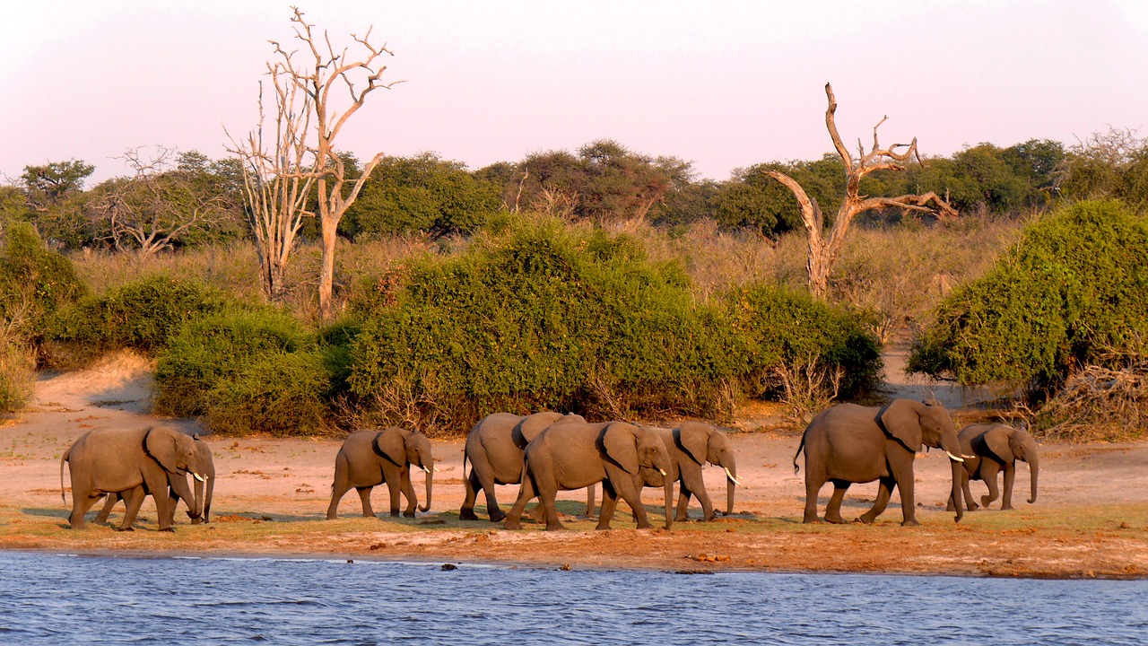 View of Chobe National Park