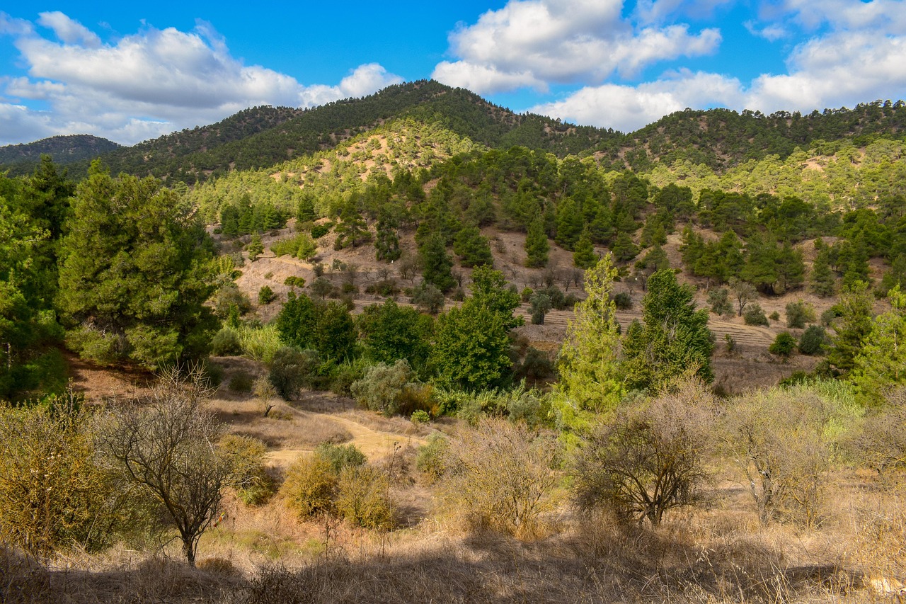 View of Troodos Mountains