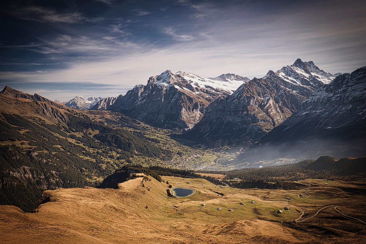 View of Grindelwald