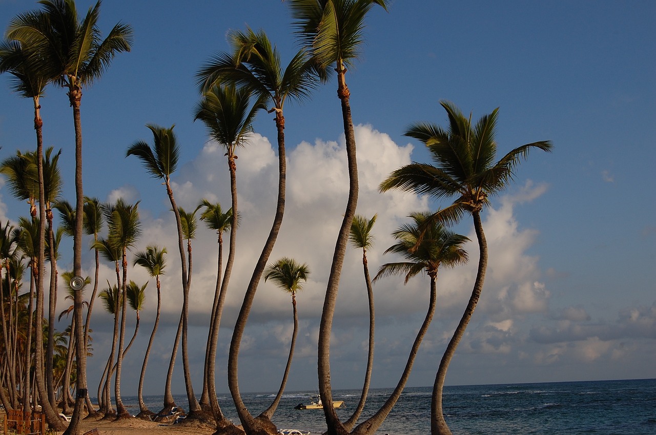 View of Punta Cana