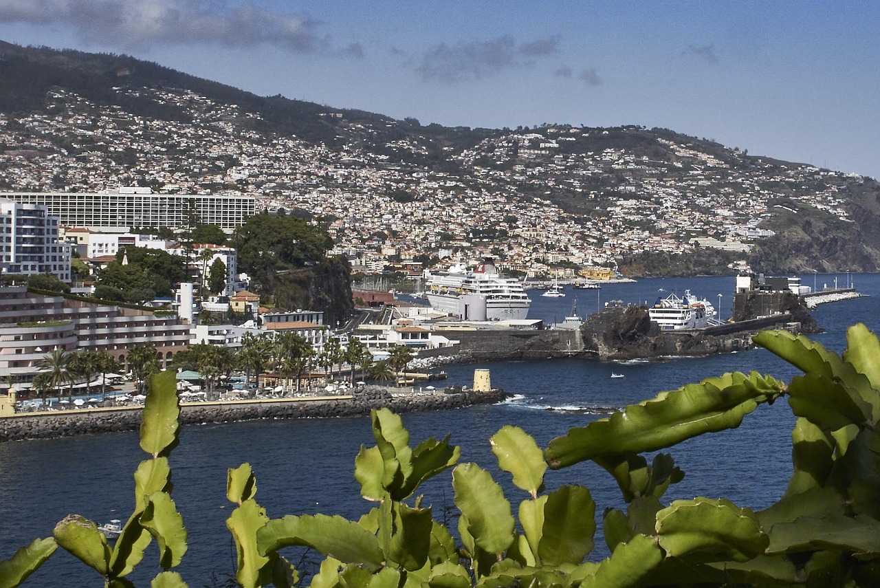 View of Madeira (Funchal)