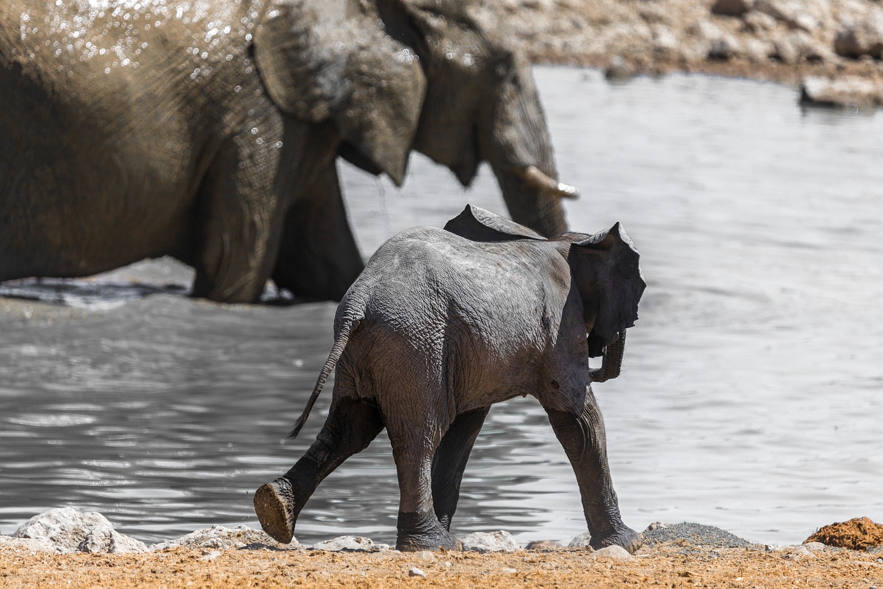 View of Addo Elephant National Park