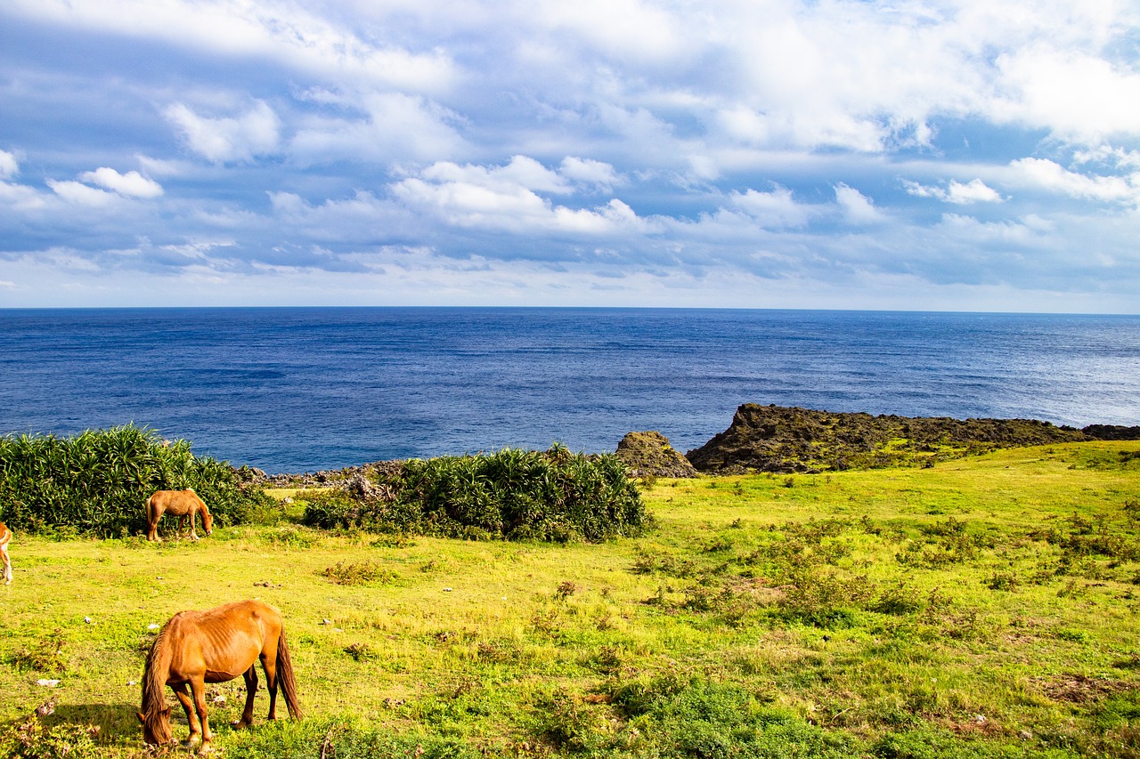 View of Ishigaki
