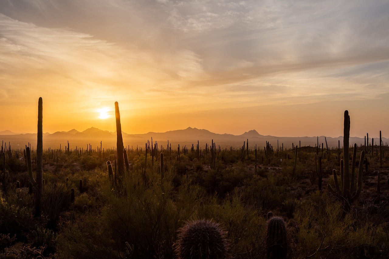View of Tucson