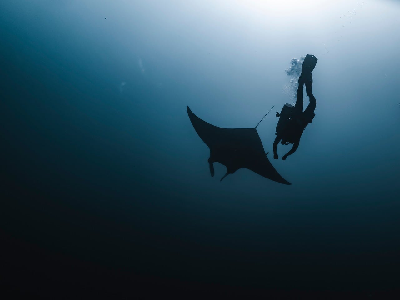 View of Manta