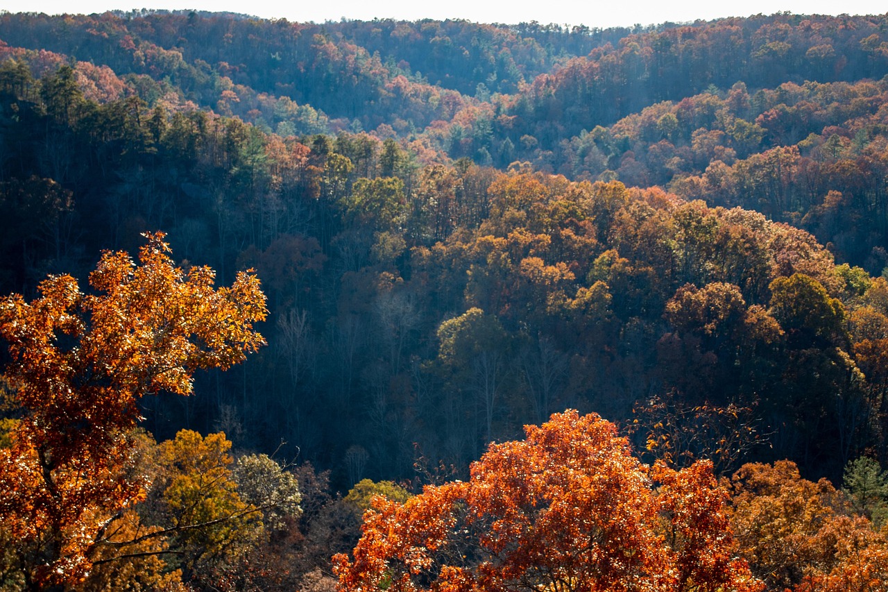 View of Asheville