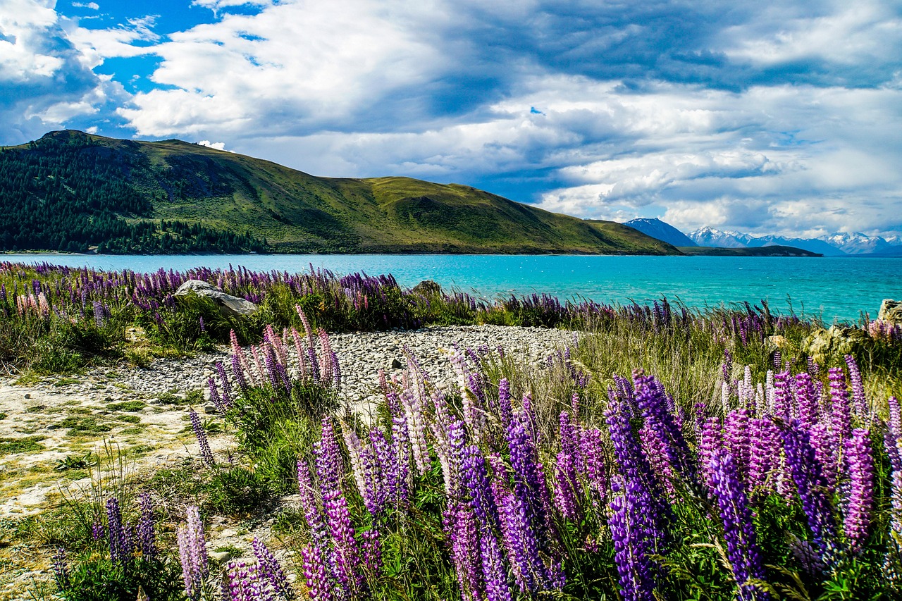View of Lake Tekapo