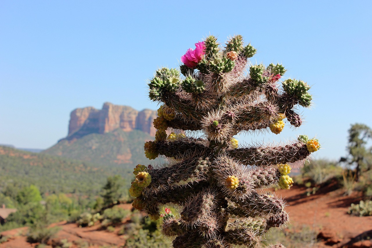View of Sedona