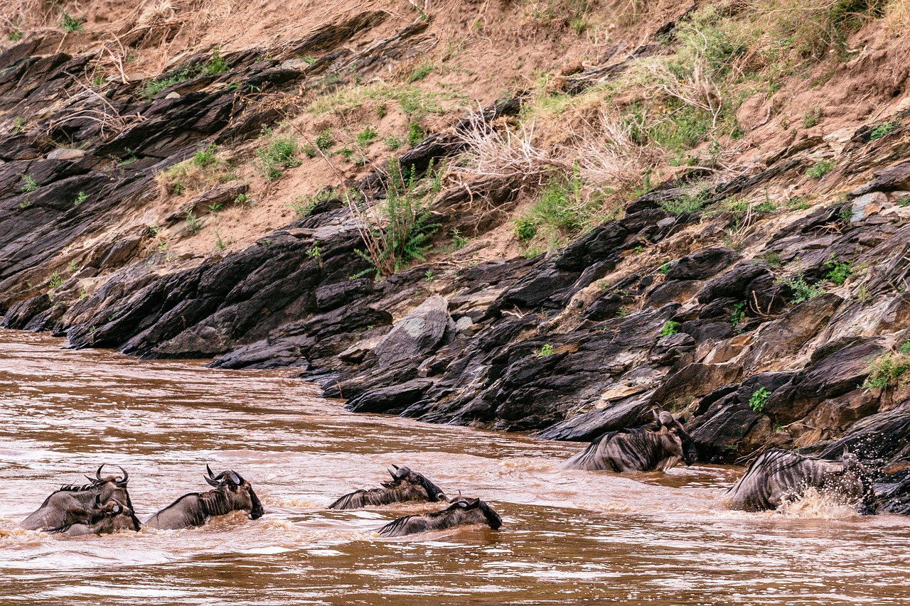 View of Maasai Mara