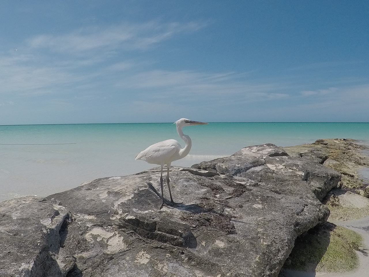 View of Holbox