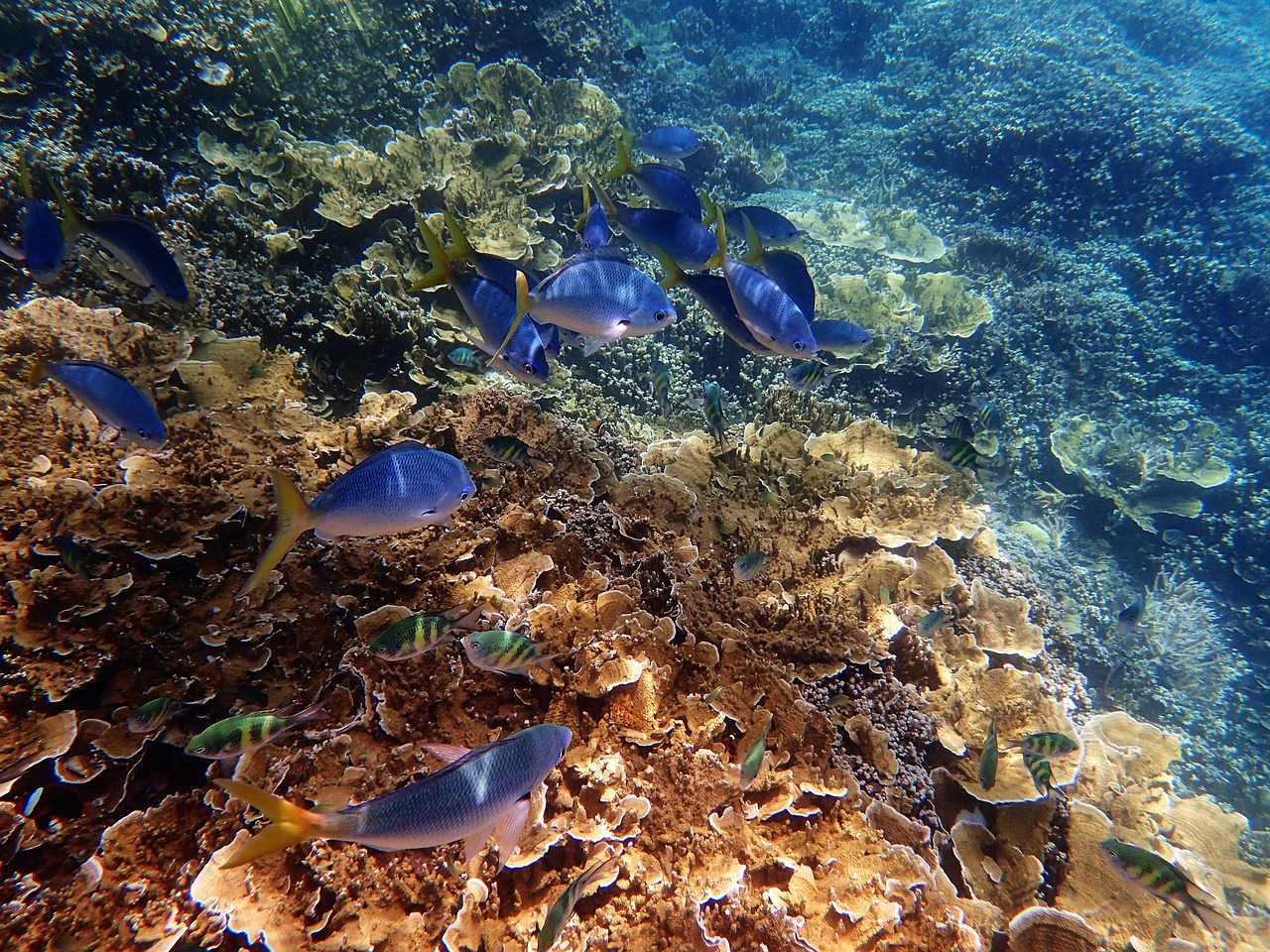 View of Great Barrier Reef