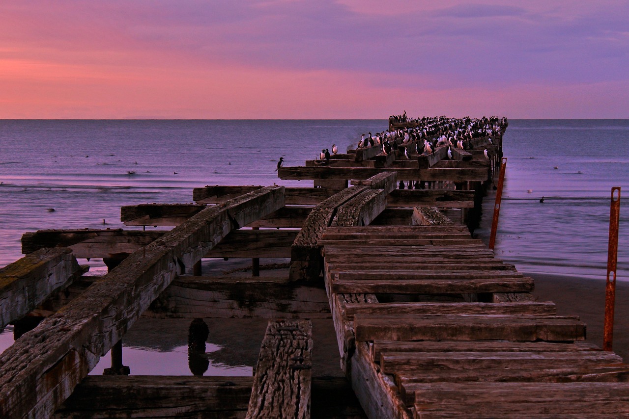 View of Punta Arenas