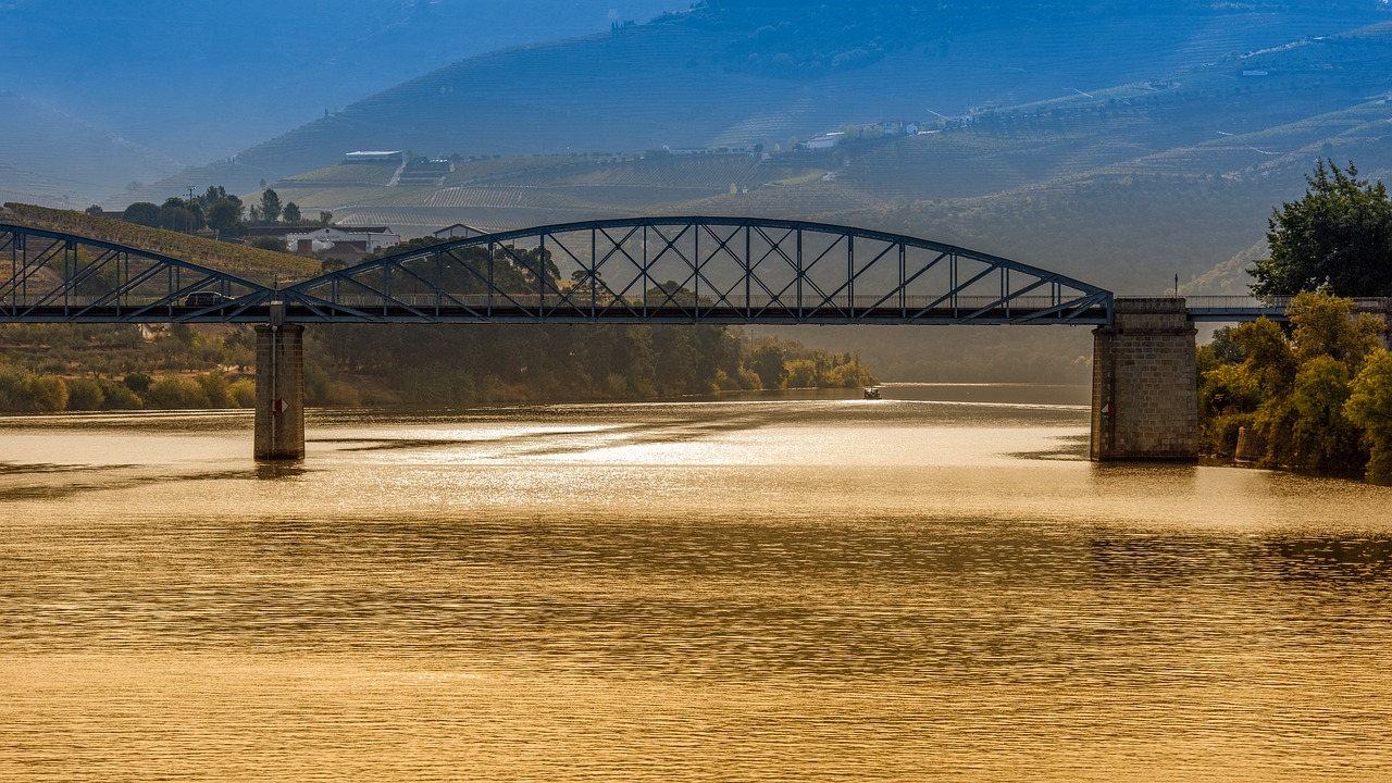 View of Douro Valley