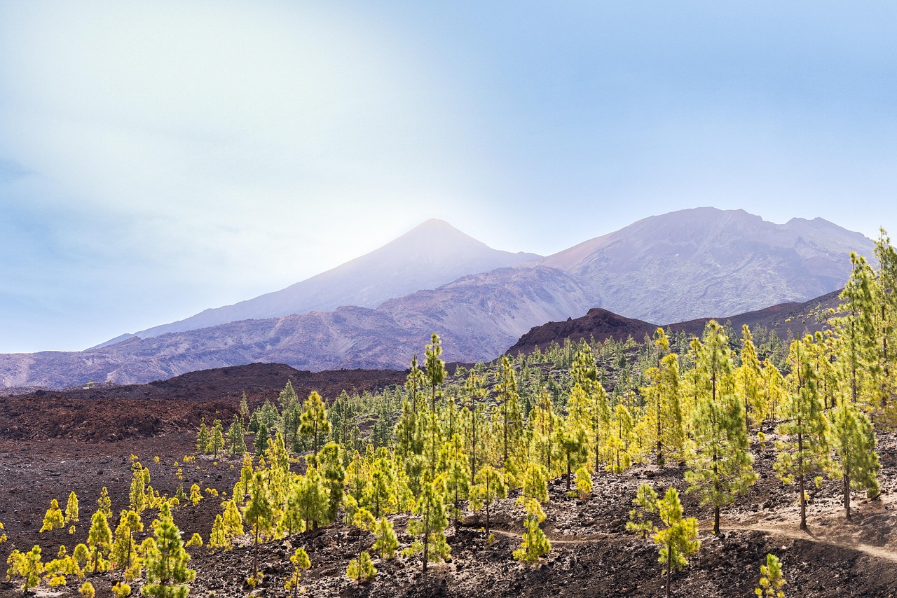View of Tenerife