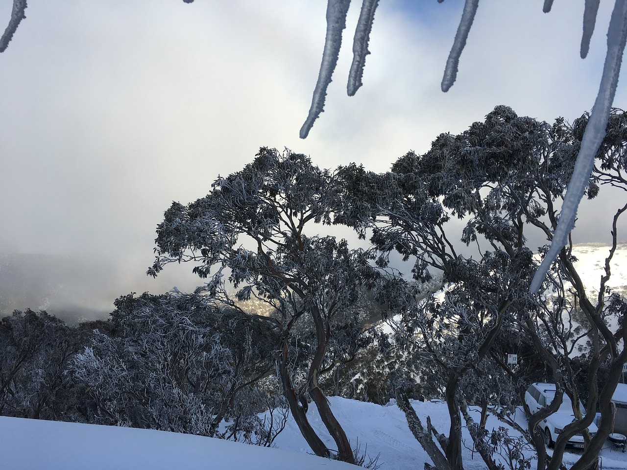 View of Mount Hotham
