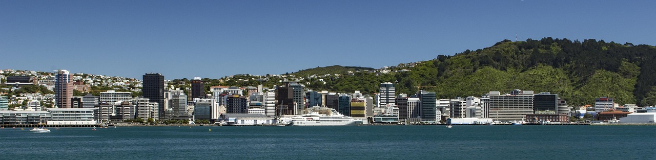 View of Wellington