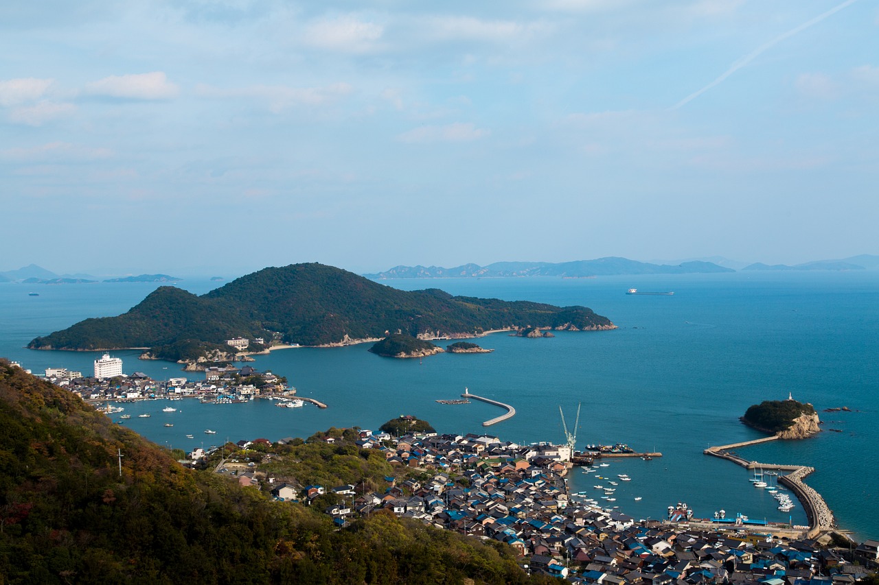 View of Isla Partida