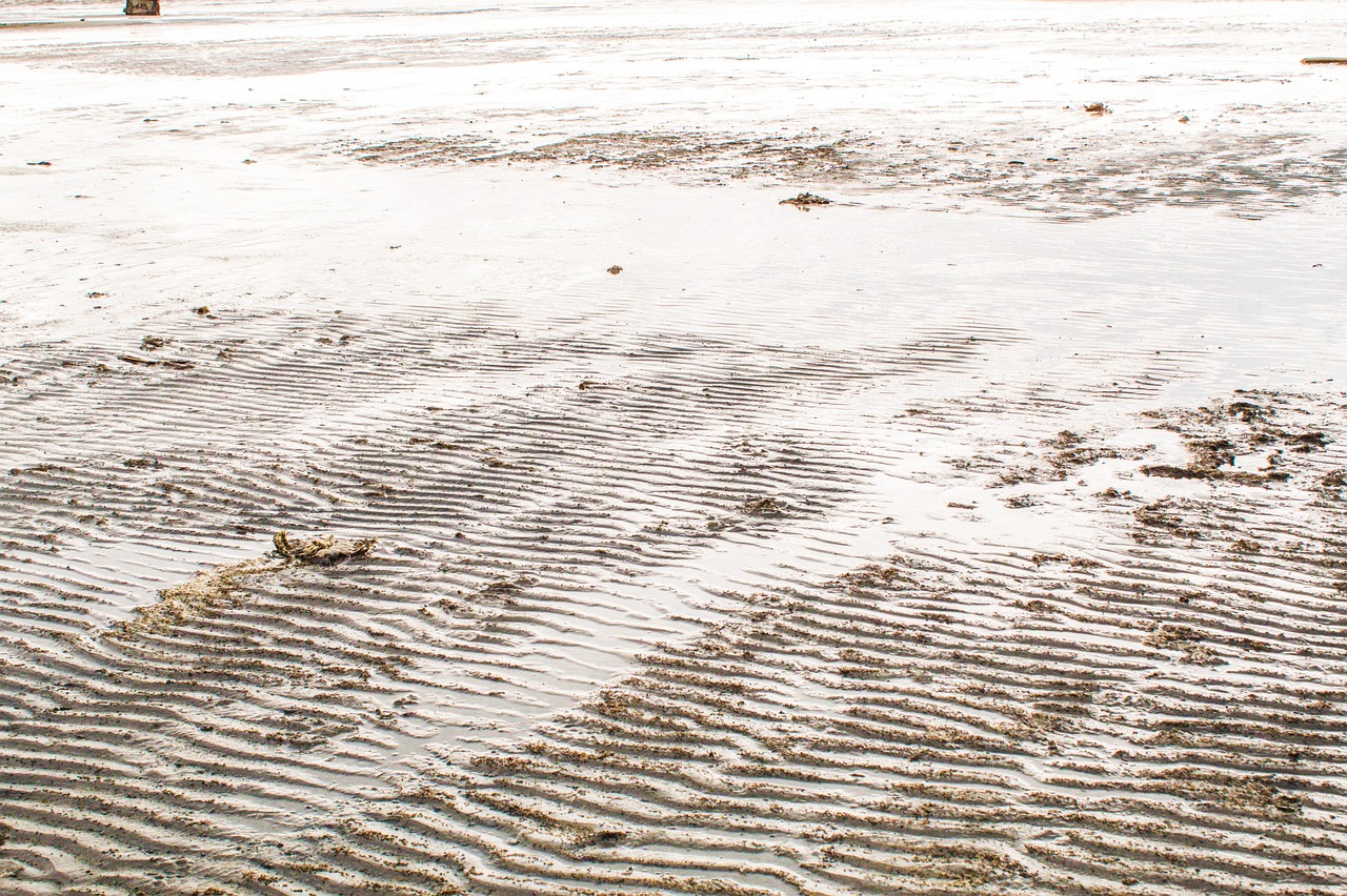 View of Salt Lake City