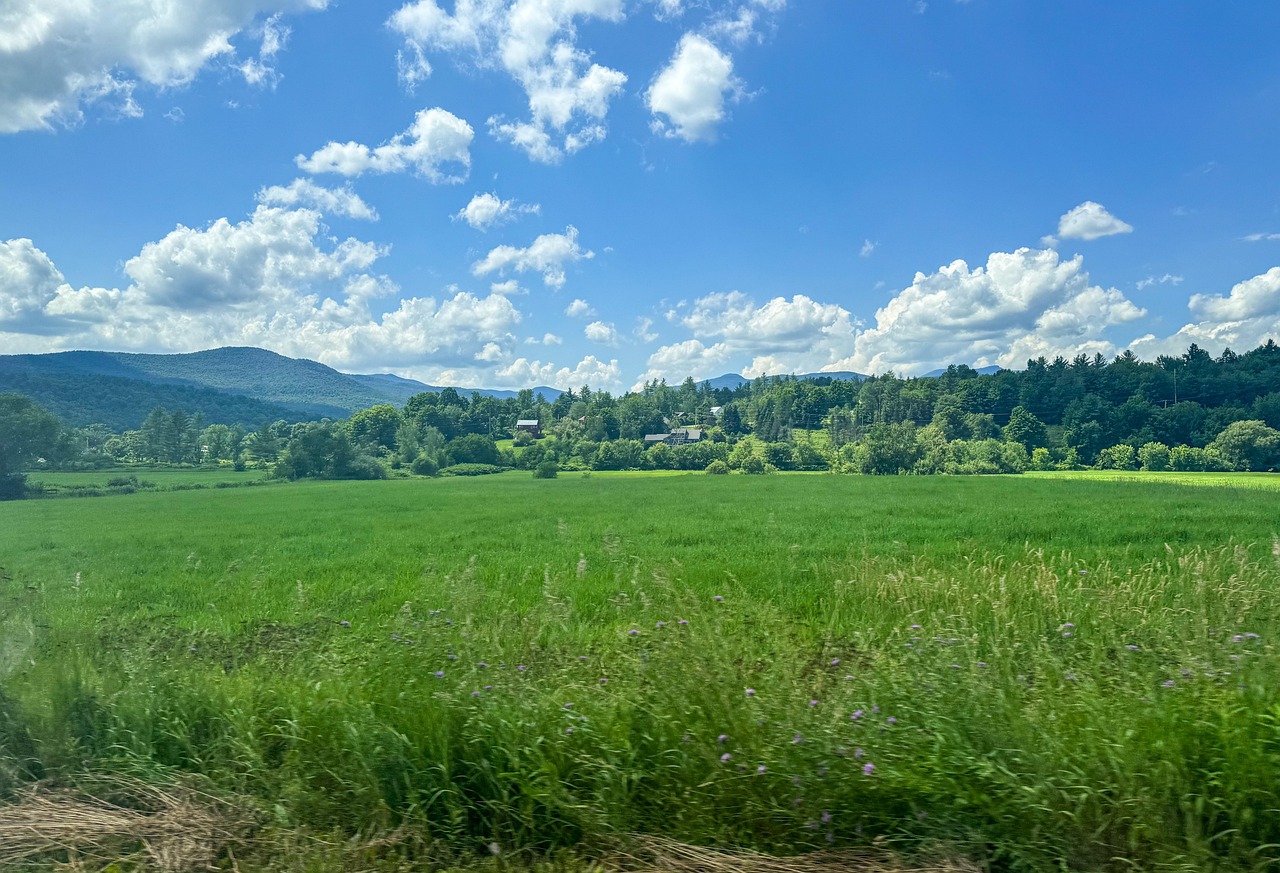 View of Vermont