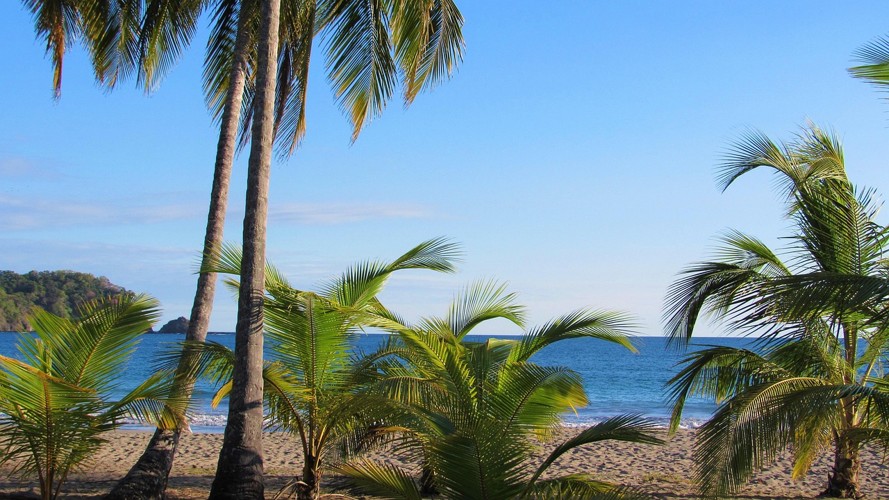 View of Playa Hermosa