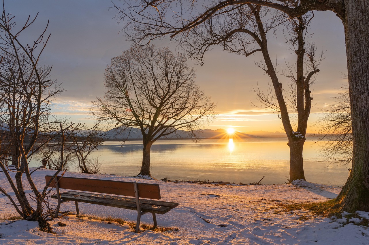 View of Cowichan Lake