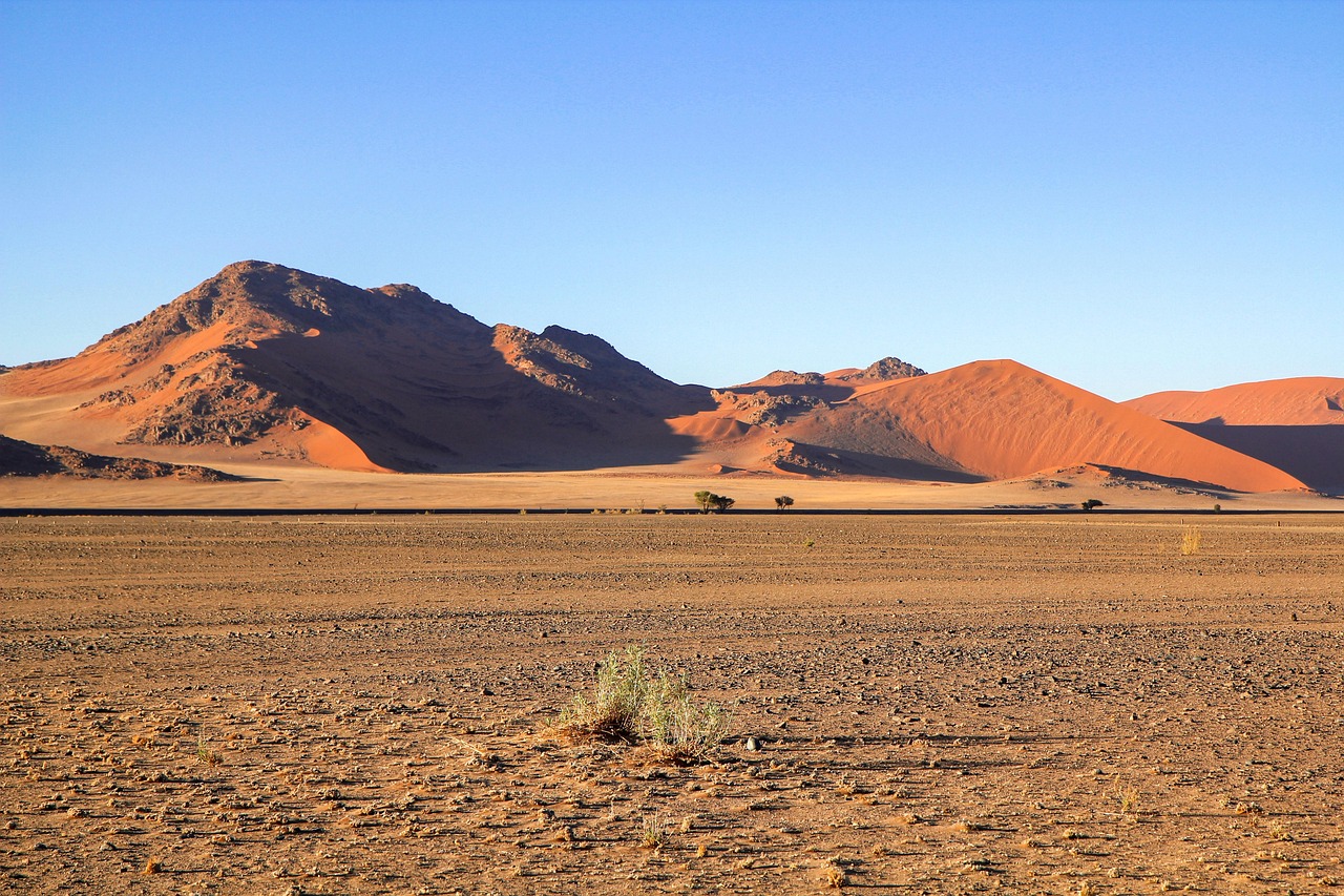 View of Sossusvlei