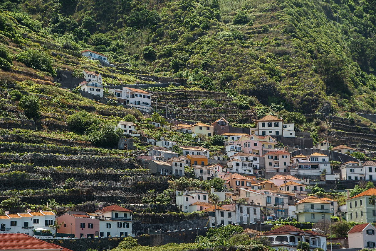 View of Madeira